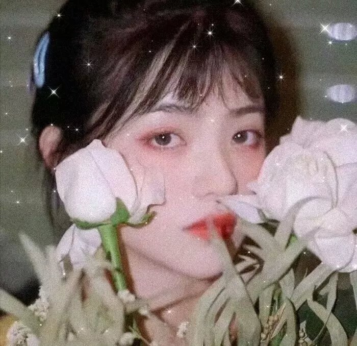 花花公子吉米海报